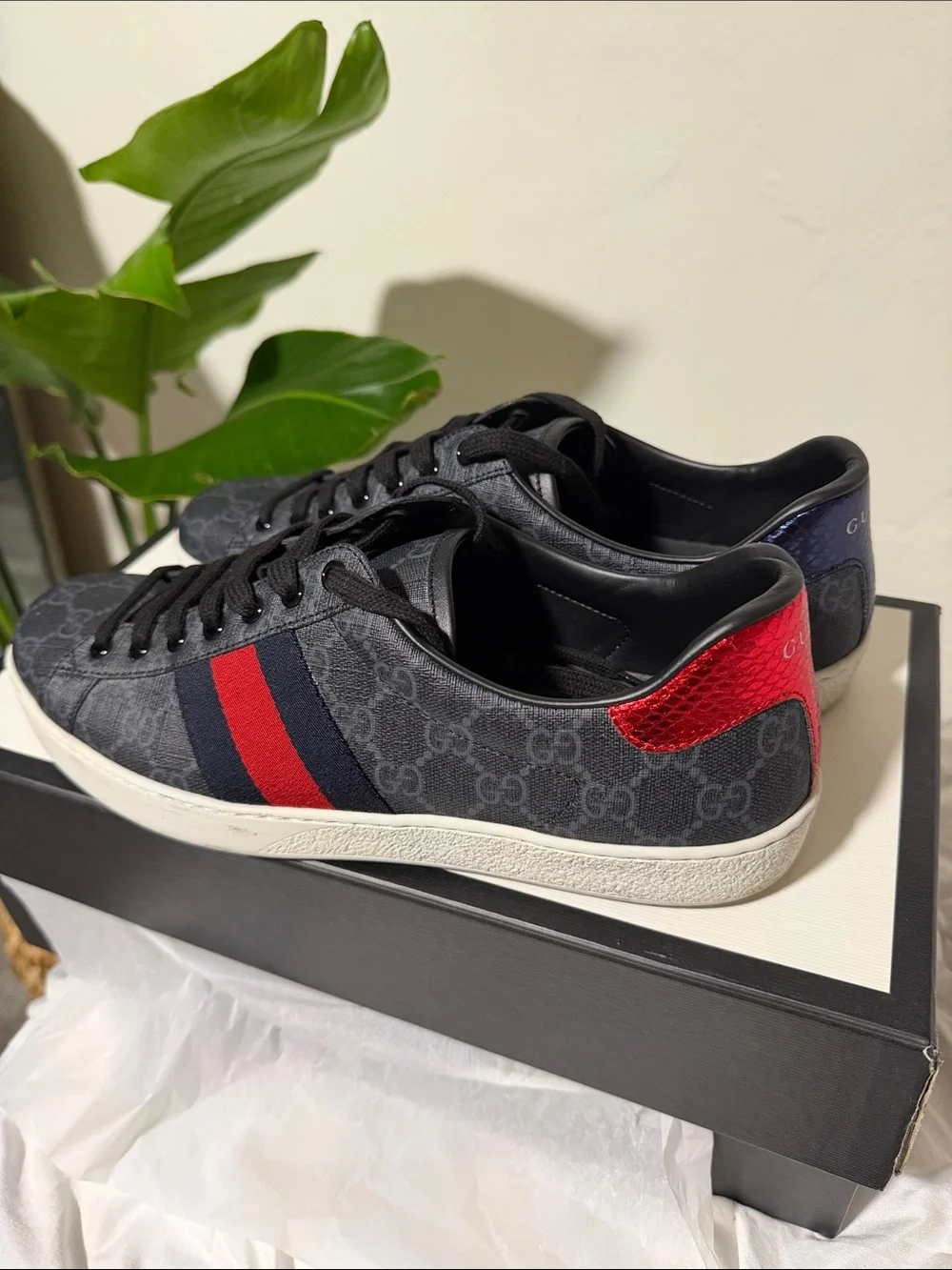 Gucci Ace GG Supreme canvas sneakers. Authentic